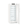 LIEBHERR GN 4635-21 Gefrierschrank (D, 1750 mm hoch)