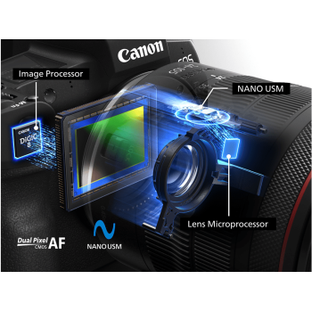 CANON RF 24 mm - 105 mm f/4 RF, USM, IS (Objektiv für Canon R-Mount, Schwarz)
