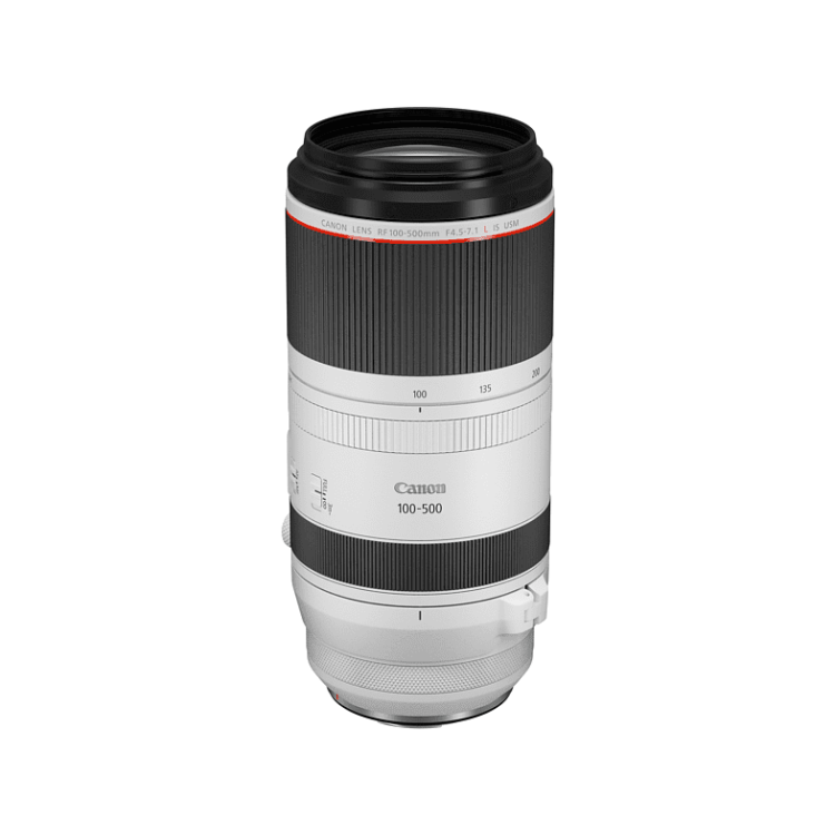 CANON RF 100 mm - 500 mm f./4.5-7.1 L-Reihe (Objektiv für Canon R-Mount, Weiß/Schwarz)