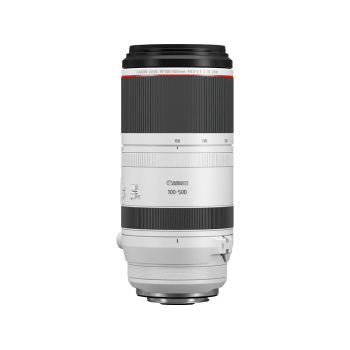 CANON RF 100 mm - 500 mm f./4.5-7.1 L-Reihe (Objektiv für Canon R-Mount, Weiß/Schwarz)